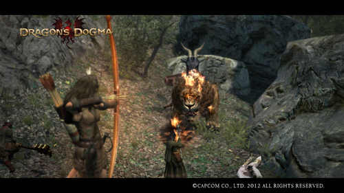 Dragon's Dogma Screen Shot 007.jpg