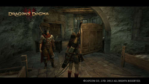 Dragon's Dogma Screen Shot 008.jpg
