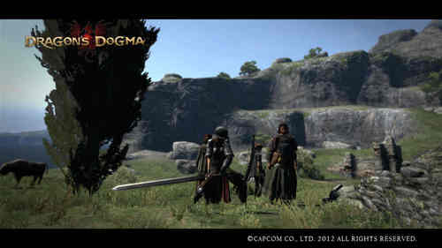 Dragon's Dogma Screen Shot 009.jpg
