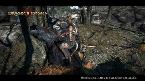 Dragon's Dogma Screen Shot 015.jpg